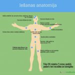 staigashana1 18868713 5d9c9e30eee94435efd4f464ad20b342f12062f1