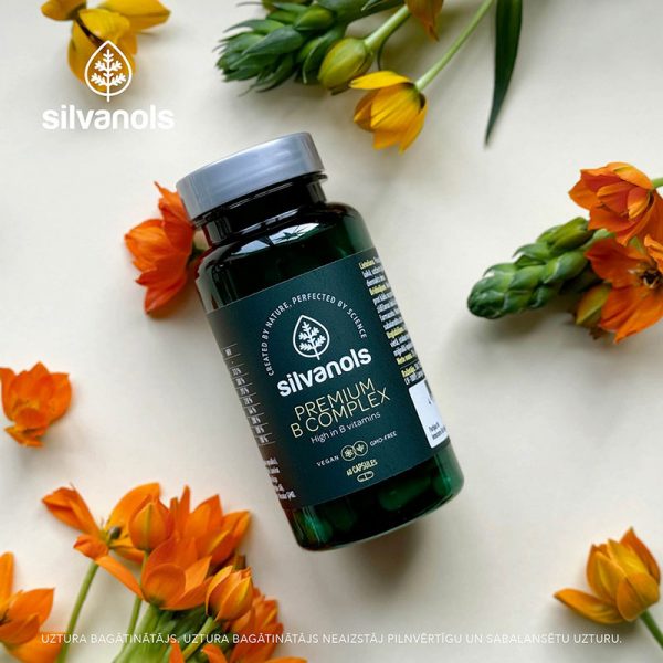 Silvanols PREMIUM B COMPLEX 60 kaps.
